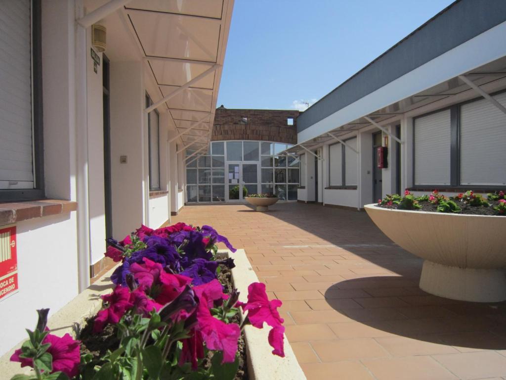 Apartamentos Elena Laredo Exteriör bild